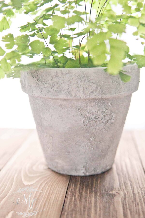 DIY concrete flower pots
