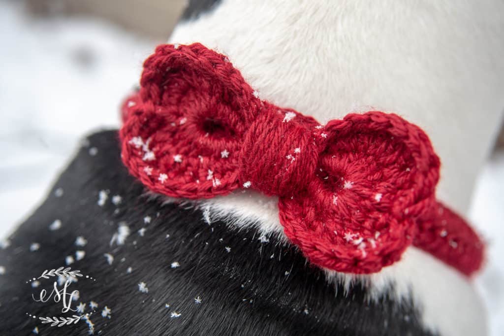 A close up shot of a dog wearing a red crocheted bow tie in the snow.