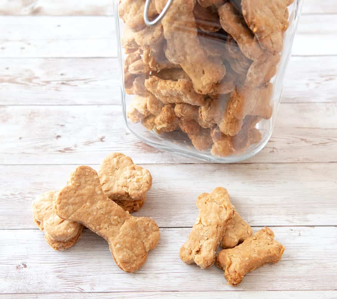 delicious homemade dog treats on display