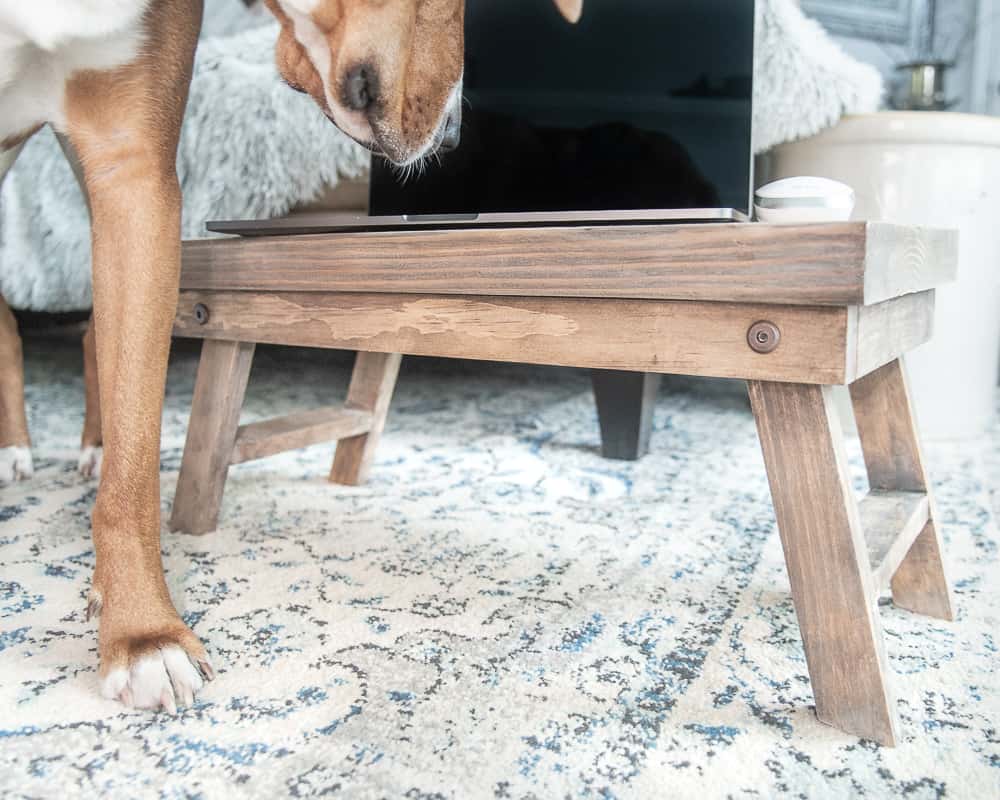 folding desk with a laptop on it and a dog looking at the screen