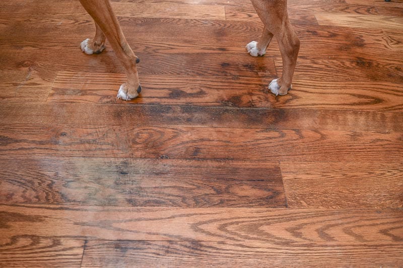 remove stains from wood floors